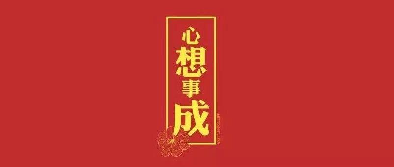 猪年你的愿望是？