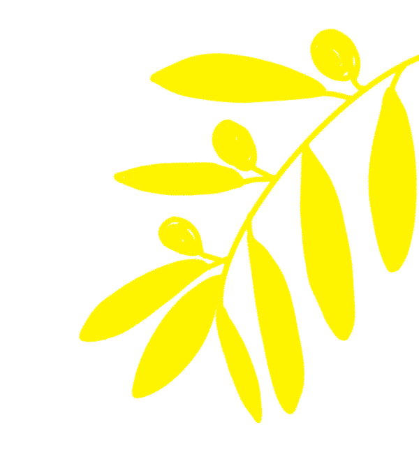 尊龙凯时x达闻西|举杯邀明月 中秋共团圆 尊龙凯时x达闻西|举杯邀明月 中秋共团圆
